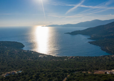 Plot in Ammouso 4080sqm