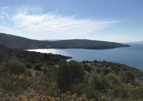 Plot in Ammouso 4028sqm