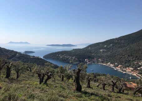 Land in Sivota