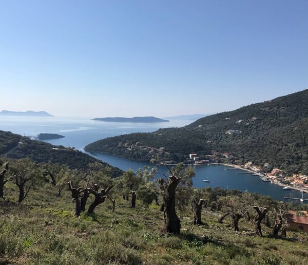 Land in Sivota